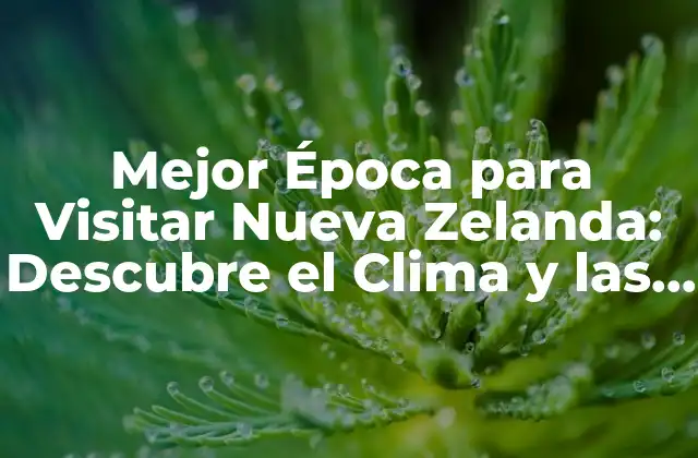 Mejor Época para Visitar Nueva Zelanda: Descubre el Clima y las Actividades Ideales