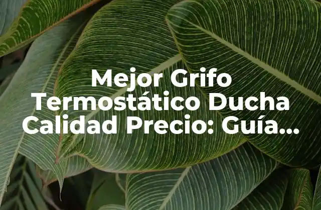 Mejor Grifo Termostático Ducha Calidad Precio: Guía Definitiva