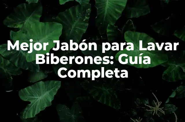 Mejor Jabón para Lavar Biberones: Guía Completa 2 ¿Por qué es Importante Utilizar un Jabón Especializado para Lavar Biberones?