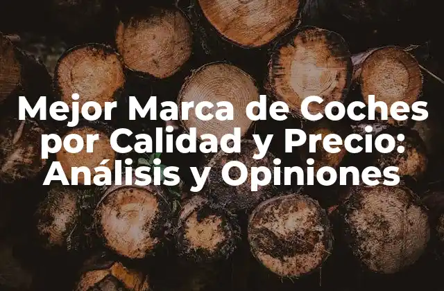 Mejor Marca de Coches por Calidad y Precio: Análisis y Opiniones
