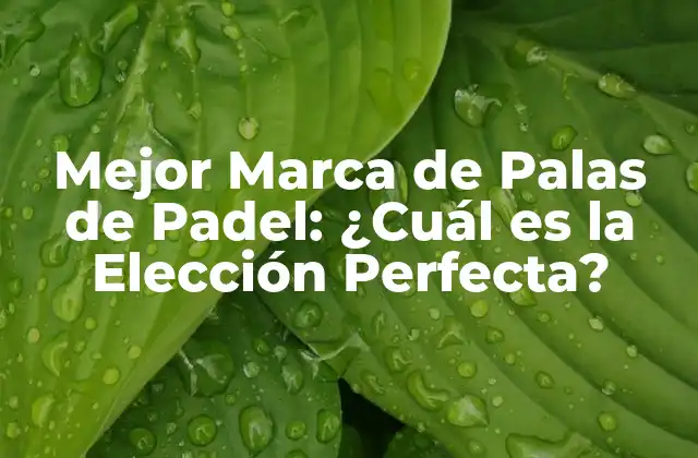 Mejor Marca de Palas de Padel: ¿cuál es la Elección Perfecta?