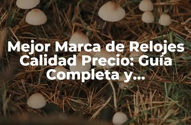Mejor Marca de Relojes Calidad Precio: Guía Completa y Actualizada 2 ¿Qué hace que un reloj sea de alta calidad?