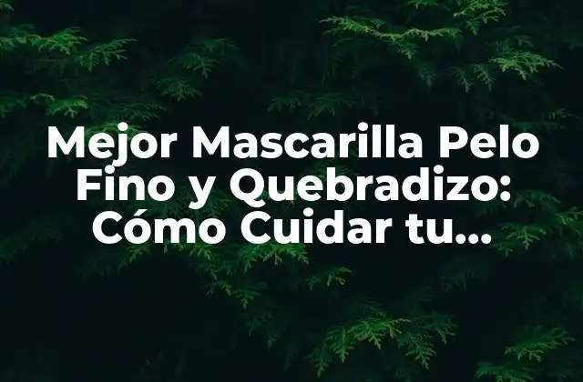Mejor Mascarilla Pelo Fino y Quebradizo: Cómo Cuidar Tu Cabello con Éxito