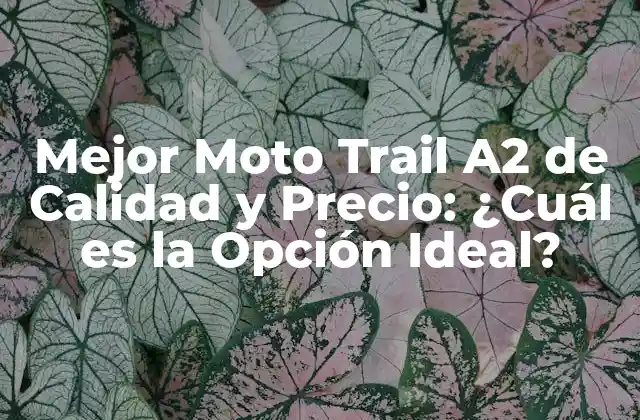 Mejor Moto Trail A2 de Calidad y Precio: ¿cuál es la Opción Ideal?