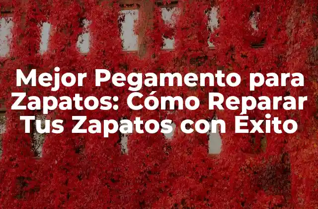 Mejor Pegamento para Zapatos: Cómo Reparar Tus Zapatos con Éxito
