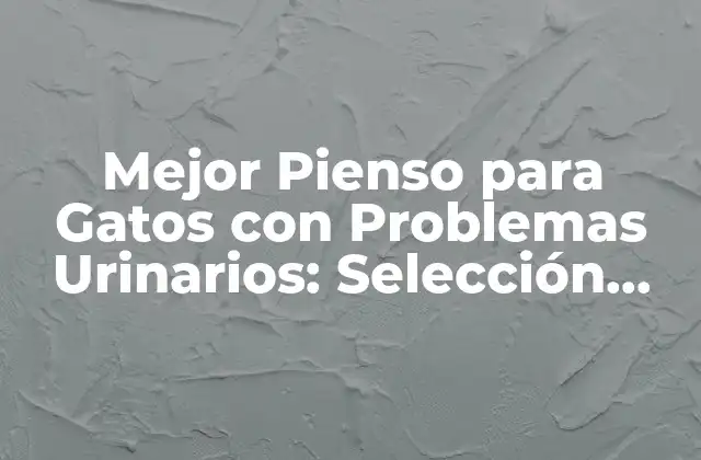 Mejor Pienso para Gatos con Problemas Urinarios: Selección Ideal