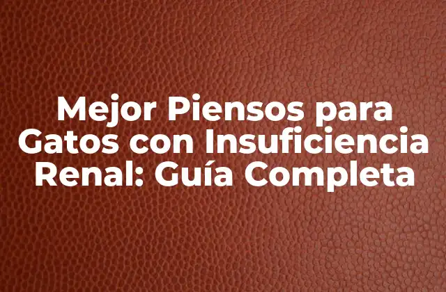 Mejor Piensos para Gatos con Insuficiencia Renal: Guía Completa