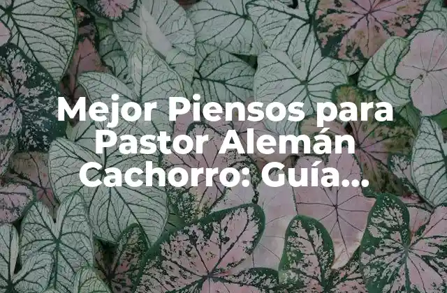 Mejor Piensos para Pastor Alemán Cachorro: Guía Completa