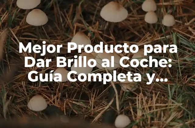 Mejor Producto para Dar Brillo Al Coche: Guía Completa y Actualizada
