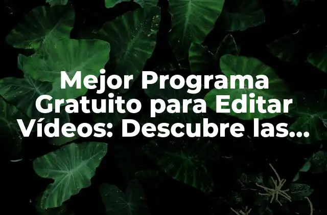 Mejor Programa Gratuito para Editar Vídeos: Descubre las Mejores Opciones
