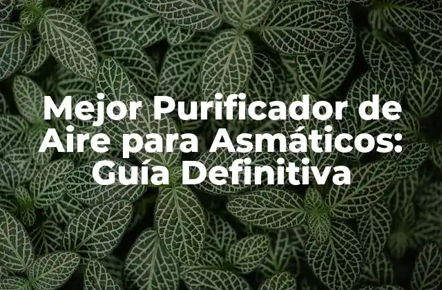 Mejor Purificador de Aire para Asmáticos: Guía Definitiva 2 ¿Cuáles son los tipos de contaminantes del aire que afectan a los asmáticos?