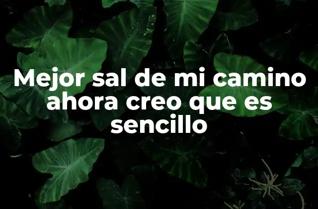 Mejor Sal de Mi Camino Ahora Creo que es Sencillo
