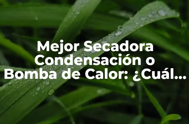 Mejor Secadora Condensación o Bomba de Calor: ¿cuál es la Opción Más Eficiente?