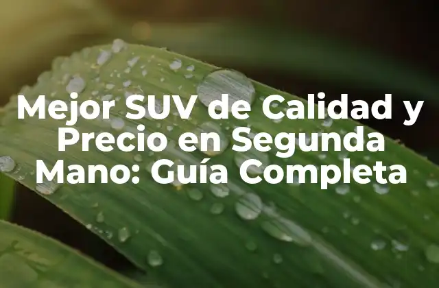 Mejor Suv de Calidad y Precio en Segunda Mano: Guía Completa