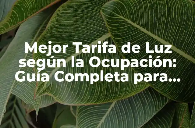 Mejor Tarifa de Luz según la Ocupación: Guía Completa para Ahorrar Dinero