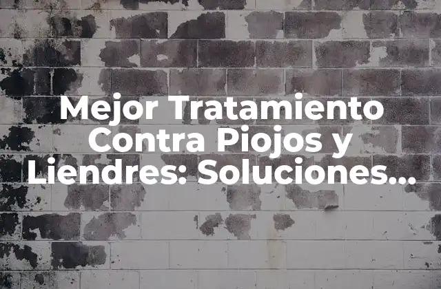 Mejor Tratamiento contra Piojos y Liendres: Soluciones Efectivas