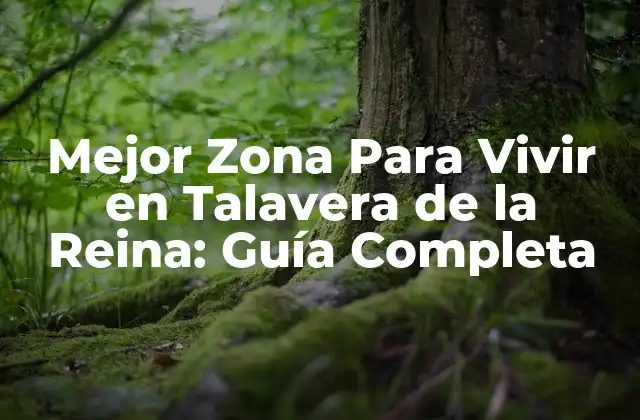 Mejor Zona para Vivir en Talavera de la Reina: Guía Completa