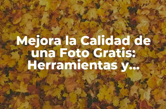 Mejora la Calidad de una Foto Gratis: Herramientas y Técnicas