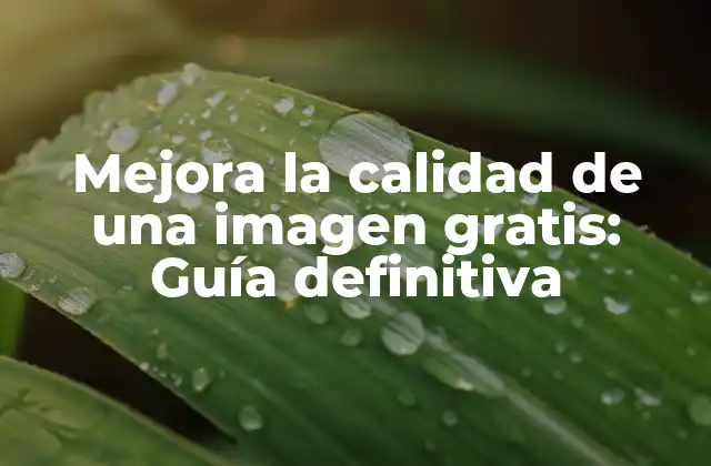 Mejora la Calidad de una Imagen Gratis: Guía Definitiva