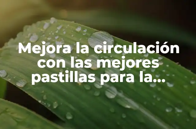 Mejora la Circulación con las Mejores Pastillas para la Circulación Sanguínea