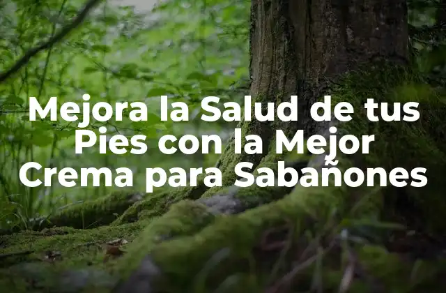 Mejora la Salud de Tus Pies con la Mejor Crema para Sabañones