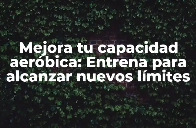 Mejora Tu Capacidad Aeróbica: Entrena para Alcanzar Nuevos Límites