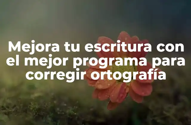 Mejora Tu Escritura con el Mejor Programa para Corregir Ortografía