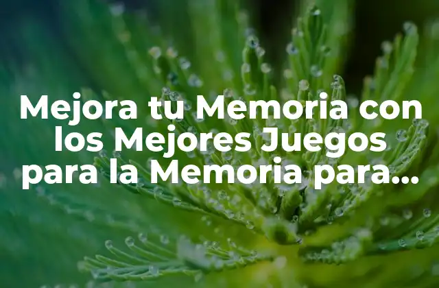 Mejora Tu Memoria con los Mejores Juegos para la Memoria para Adultos