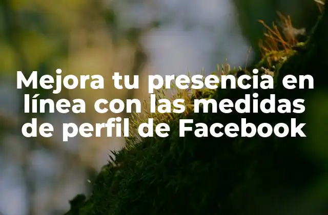 Mejora Tu Presencia en Línea con las Medidas de Perfil de Facebook