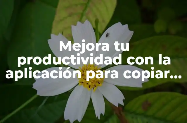 Mejora Tu Productividad con la Aplicación para Copiar y Pegar Imágenes