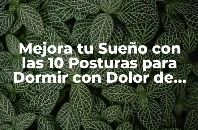 Mejora Tu Sueño con las 10 Posturas para Dormir con Dolor de Espalda