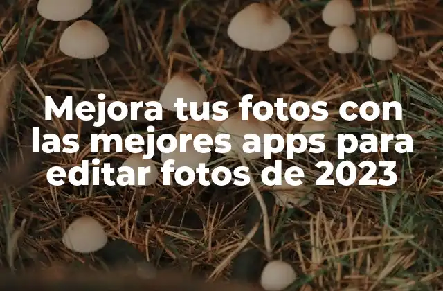 Mejora Tus Fotos con las Mejores Apps para Editar Fotos de 2023