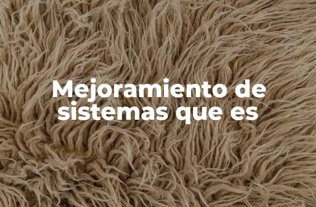 Mejoramiento de Sistemas que es