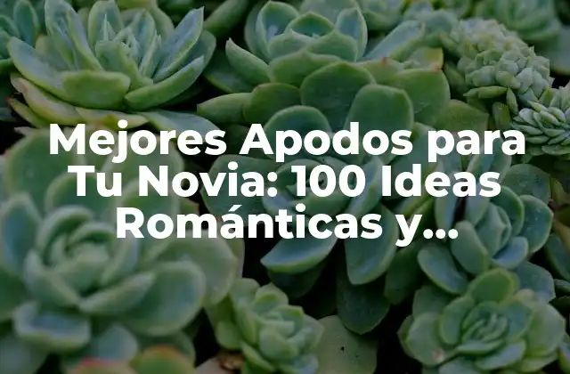 Mejores Apodos para Tu Novia: 100 Ideas Románticas y Divertidas