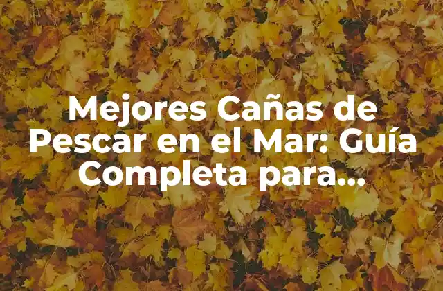 Mejores Cañas de Pescar en el Mar: Guía Completa para Pescadores