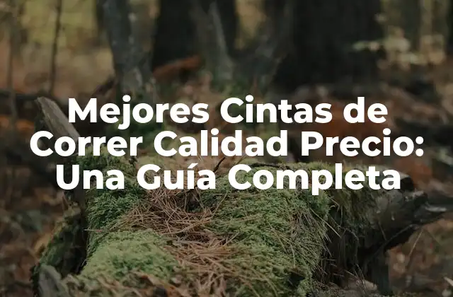 Mejores Cintas de Correr Calidad Precio: una Guía Completa