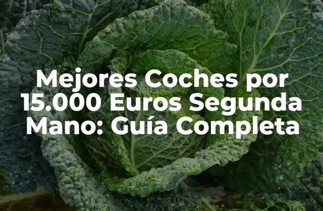 Mejores Coches por 15.000 Euros Segunda Mano: Guía Completa