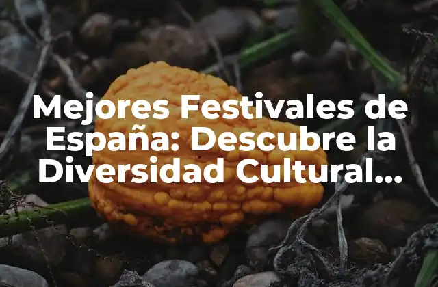 Mejores Festivales de España: Descubre la Diversidad Cultural Española