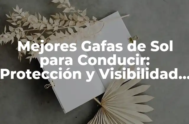 Mejores Gafas de Sol para Conducir: Protección y Visibilidad en la Carretera