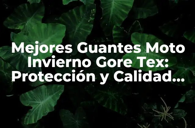 Mejores Guantes Moto Invierno Gore Tex: Protección y Calidad para Motoristas