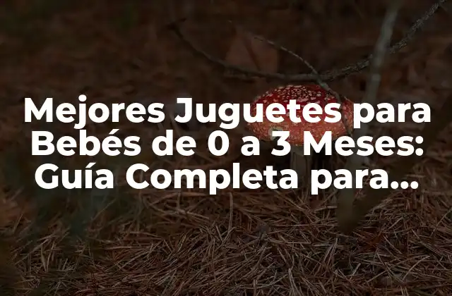 Mejores Juguetes para Bebés de 0 a 3 Meses: Guía Completa para Padres