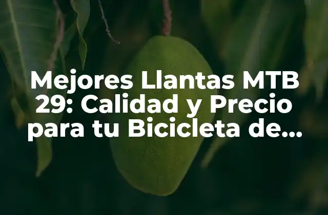 Mejores Llantas Mtb 29: Calidad y Precio para Tu Bicicleta de Montaña