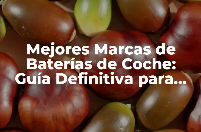 Mejores Marcas de Baterías de Coche: Guía Definitiva para Elegir la Mejor Opción