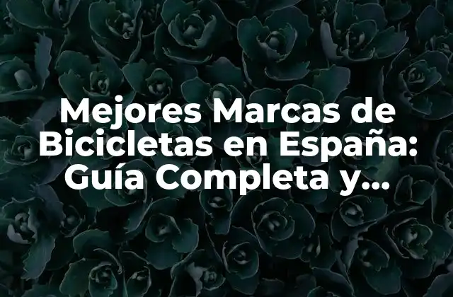 Mejores Marcas de Bicicletas en España: Guía Completa y Actualizada