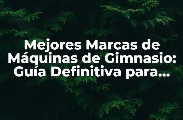 Mejores Marcas de Máquinas de Gimnasio: Guía Definitiva para Equipar Tu Sala de Entrenamiento