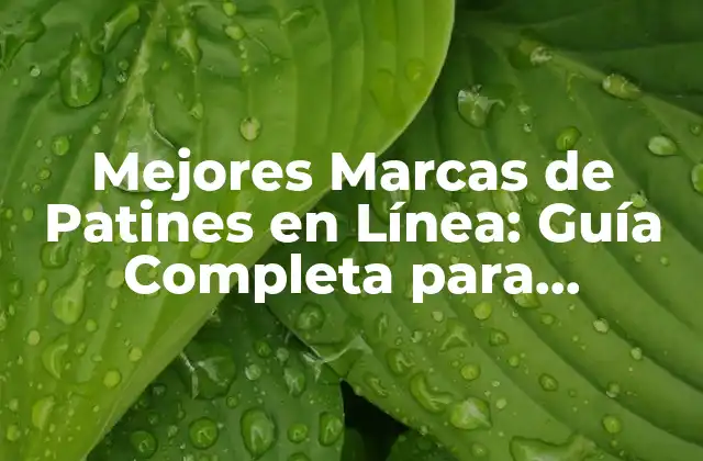 Mejores Marcas de Patines en Línea: Guía Completa para Encontrar los Mejores