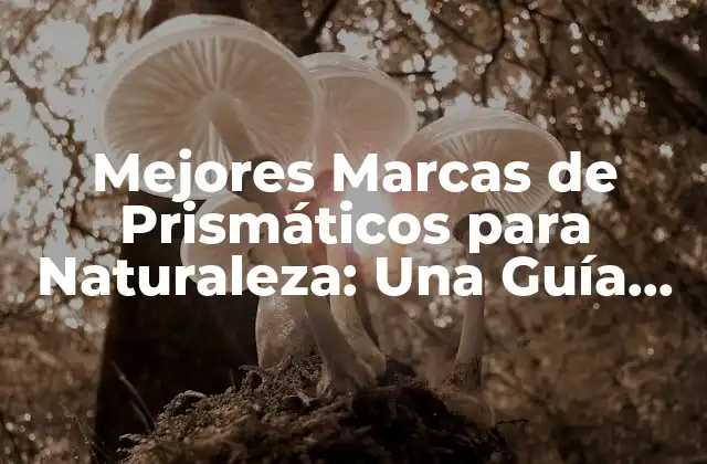 Mejores Marcas de Prismáticos para Naturaleza: una Guía Completa
