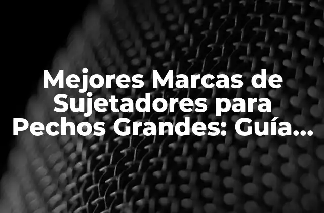 Mejores Marcas de Sujetadores para Pechos Grandes: Guía Completa