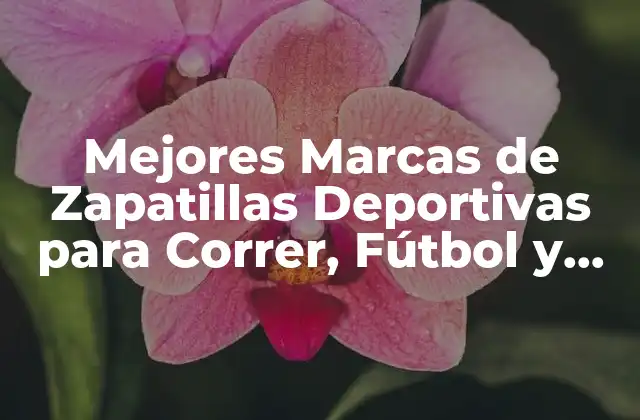 Mejores Marcas de Zapatillas Deportivas para Correr, Fútbol y Más