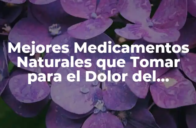 Mejores Medicamentos Naturales que Tomar para el Dolor Del Ciático